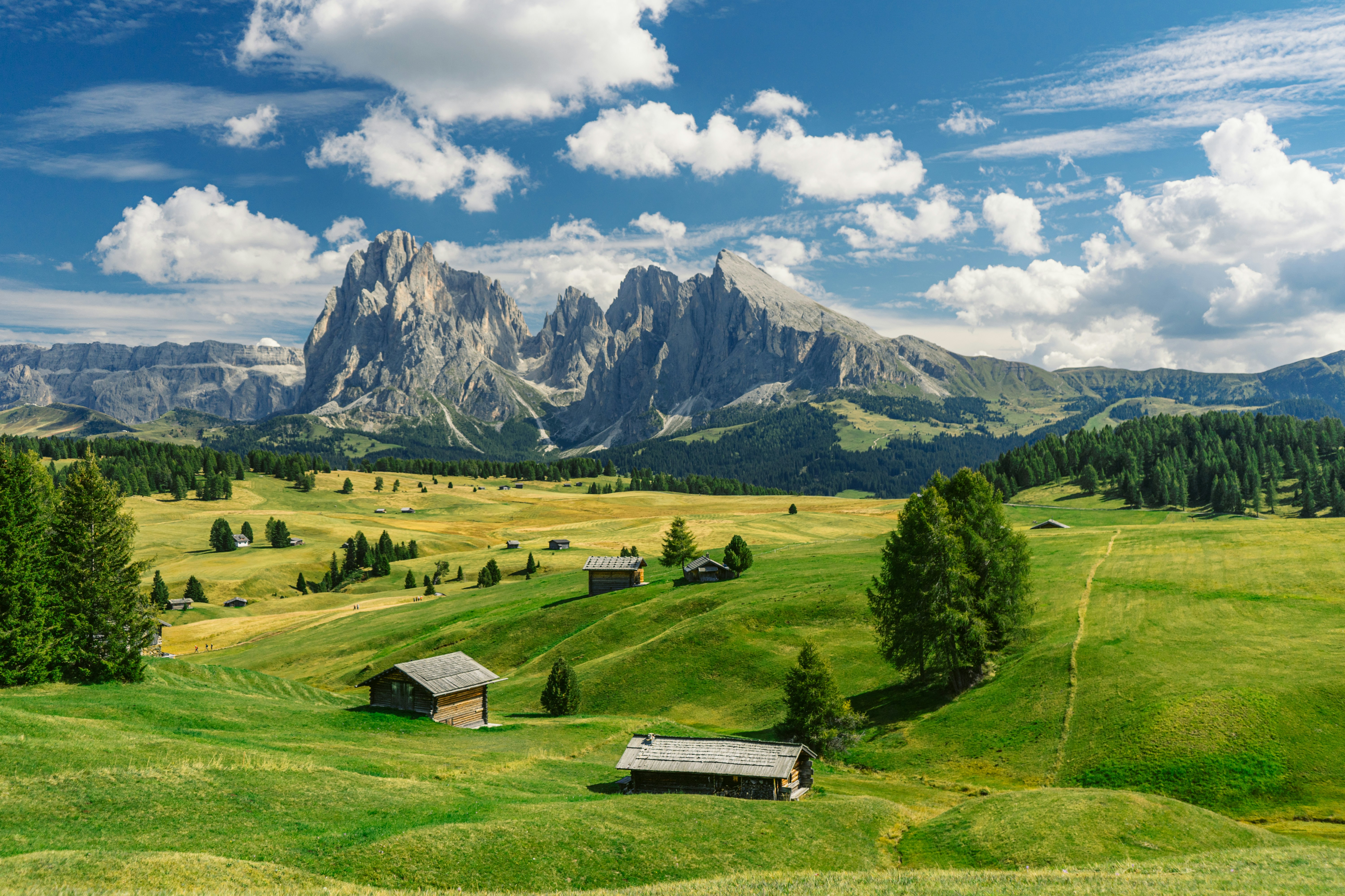 Prats de l'Alpe di Siusi