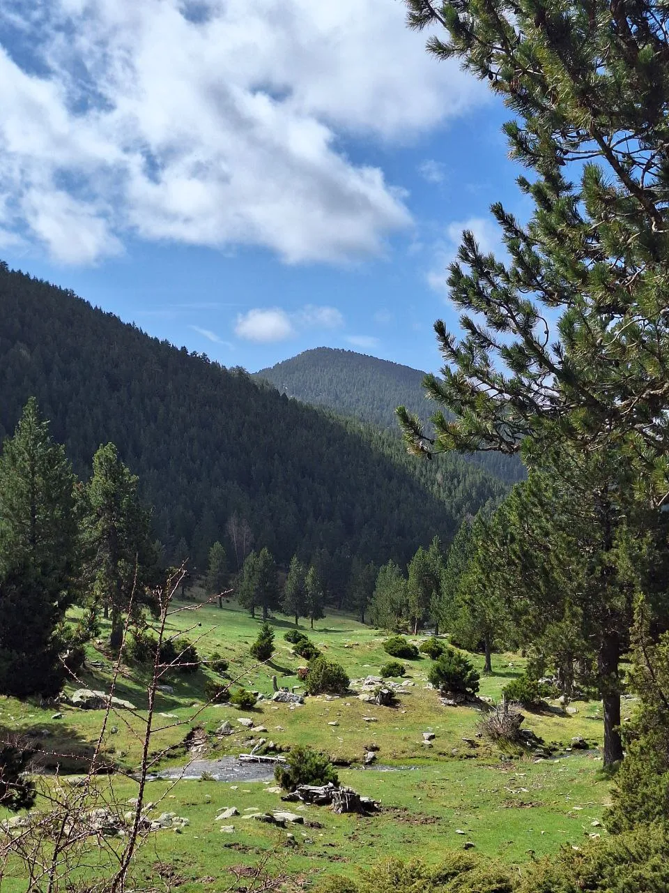 Camins de ronda a la Costa Brava