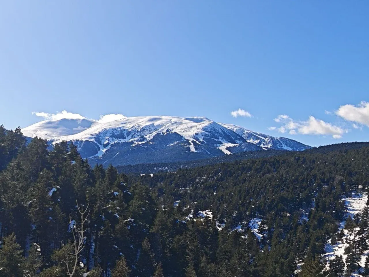 Senderisme per la zona volcànica de la Garrotxa