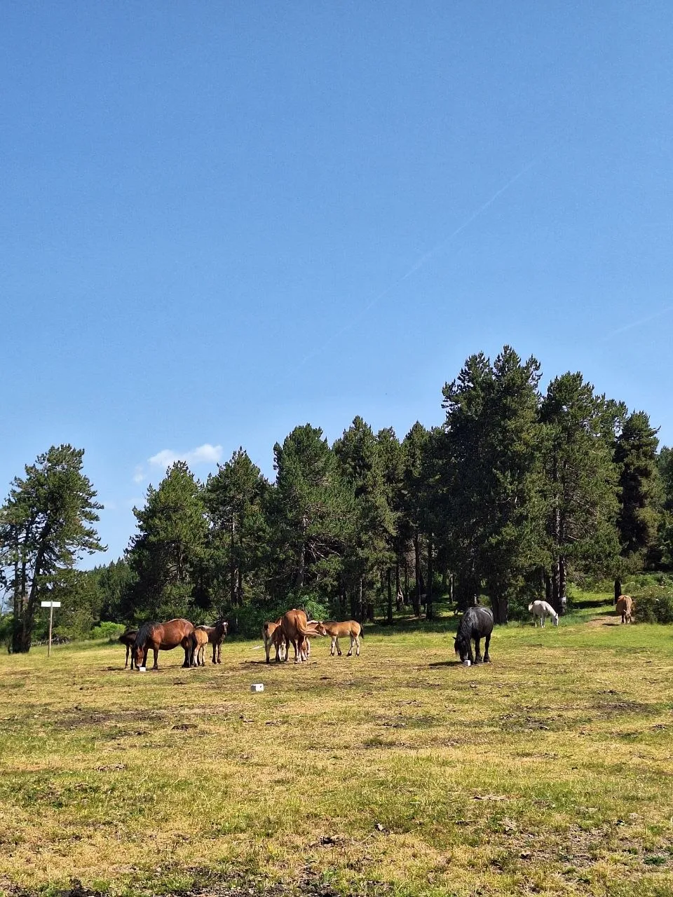 Paisatge d'alta muntanya als Pirineus catalans