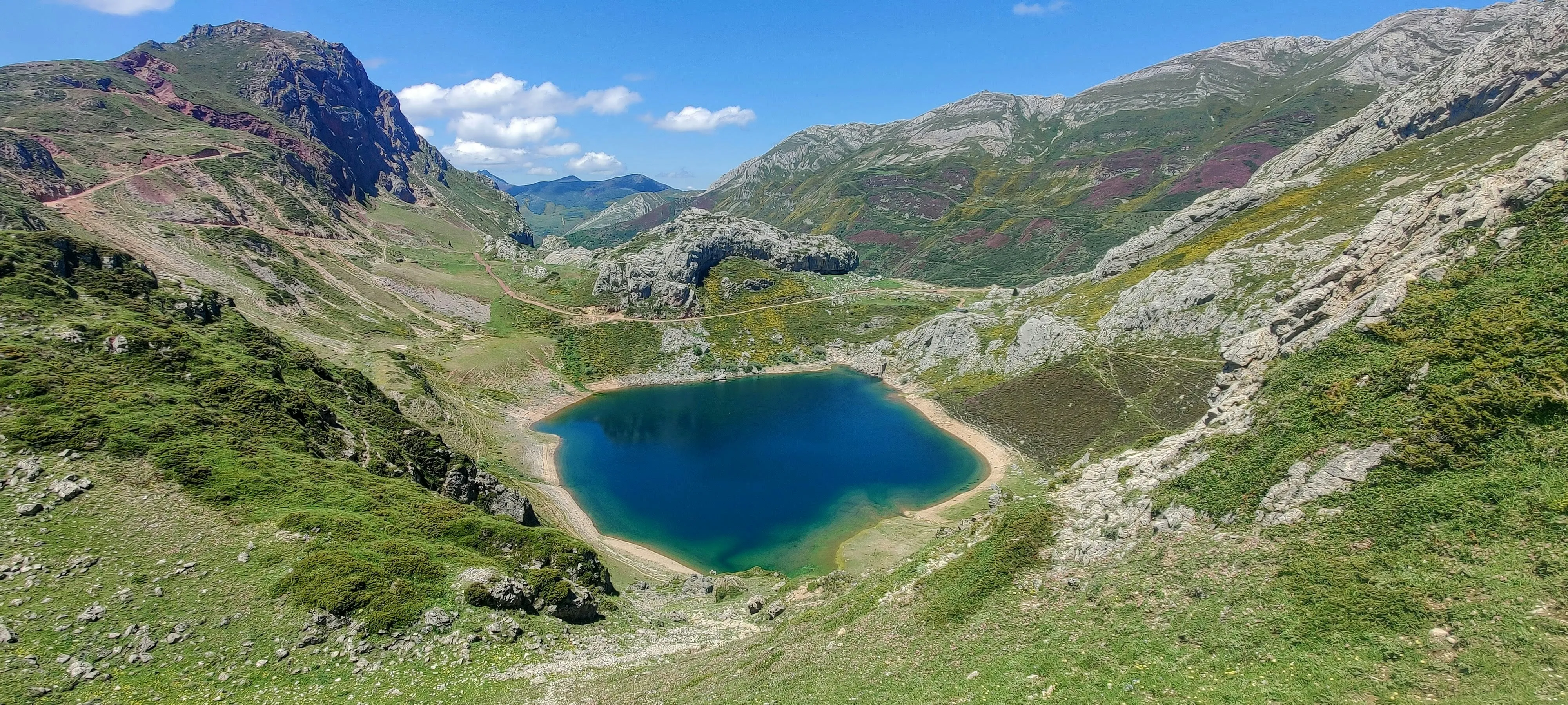 Boscos de castanyers als Oscos